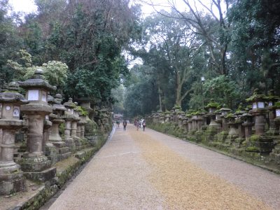 Stone lanterns of Kasuga Taisha, Nara