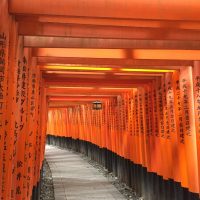 Kyoto : Miyako Odori et Dégustation du Saké le 1er avril 2024