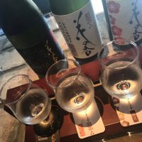 Kyoto : Miyako Odori et Dégustation du Saké le 1er avril 2024