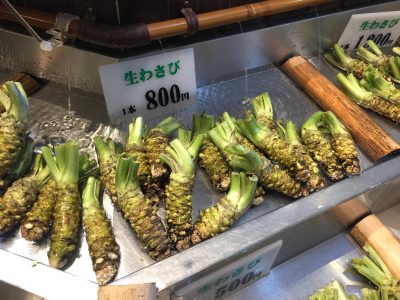 Wasabi : épice japonaise