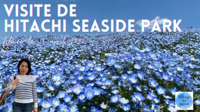 Hitachi Seaside Park ひたち海浜公園