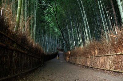 Arashiyama 嵐山