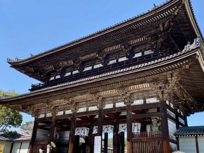 Temple Ninna-ji 仁和寺